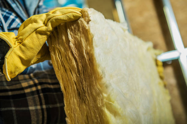 Best Crawl Space Insulation  in Rensselaer, NY
