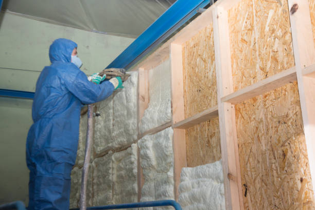 Best Insulation Replacement Services  in Rensselaer, NY