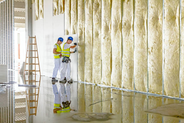 Best Insulation Removal Services  in Rensselaer, NY